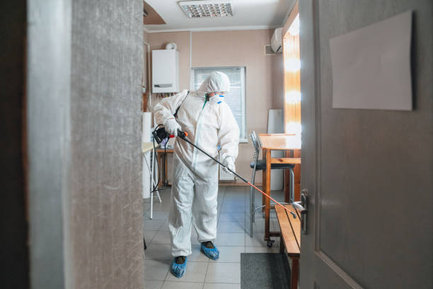 Best Real Estate Mold Inspection  in Commack, NY
