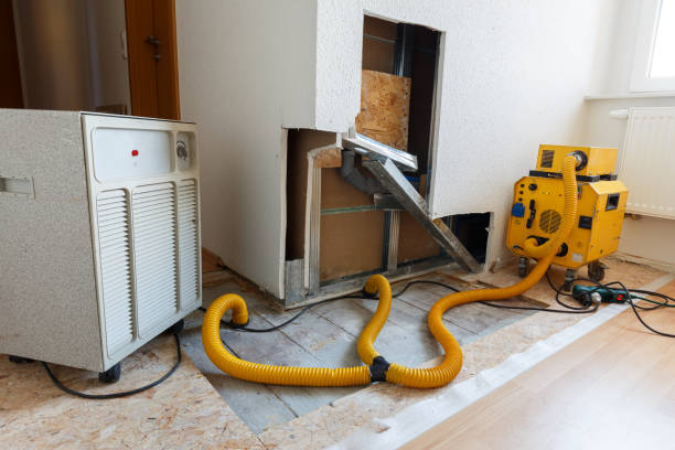 Best Mold Prevention Services  in Commack, NY